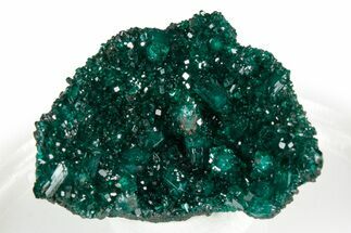Lustrous Dioptase Crystal Epimorph - Congo #346113