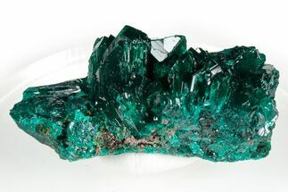 Gemmy Dioptase Crystal Cluster - Congo #346117