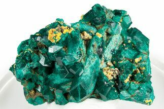 Gemmy Dioptase Crystal Cluster - Congo #346121