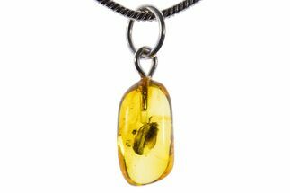 Polished Baltic Amber Pendant (Necklace) - Contains Fly! #339580