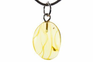 Polished Baltic Amber Pendant (Necklace) - Contains Fly! #339583