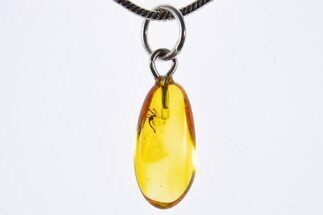 Polished Baltic Amber Pendant (Necklace) - Contains Fly! #339587