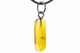 Polished Baltic Amber Pendant (Necklace) - Contains Spider! #339612