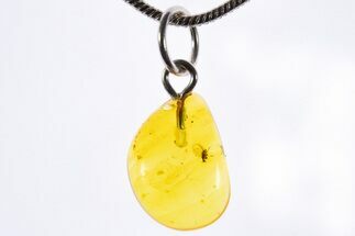 Polished Baltic Amber Pendant (Necklace) - Contains Fly! #339621