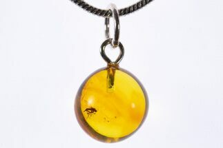Polished Baltic Amber Pendant (Necklace) - Contains Fly! #339622