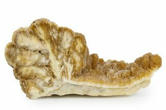 Polished Barite With Pyrite - Lubin Mine, Poland #346196