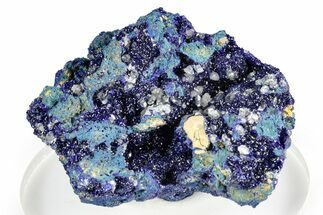 Cerussite Crystals on Sparkling Azurite - Congo #346139