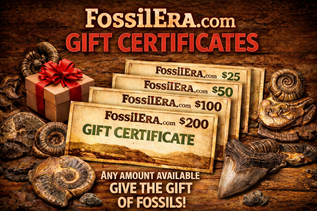 Gift Certificates For Sale