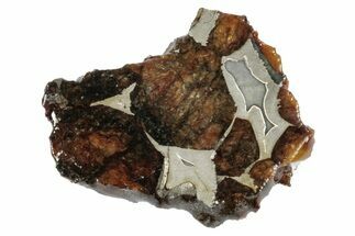 Sericho Pallasite Meteorite ( g) Slice - Kenya #346431