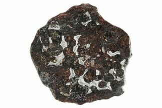 Sericho Pallasite Meteorite ( g) Slice - Kenya #346463