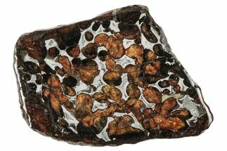 Sericho Pallasite Meteorite ( g) Slice - Kenya #346477