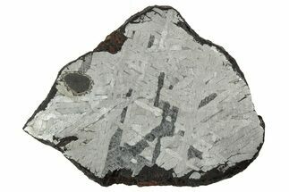 Etched Toluca Iron Meteorite ( g) Slice - Mexico #346489