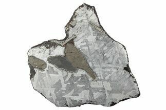 Etched Toluca Iron Meteorite ( g) Slice - Mexico #346493