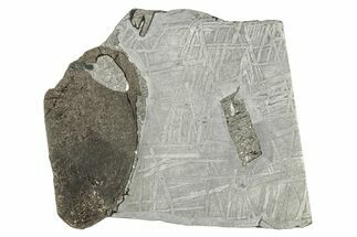 Etched Saint-Aubin Iron Meteorite Slice ( g) - France #346517