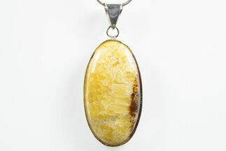 Polished Septarian Pendant (Necklace) #346244