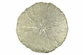 Radiant Pyrite Sun - Sparta, Illinois #342588