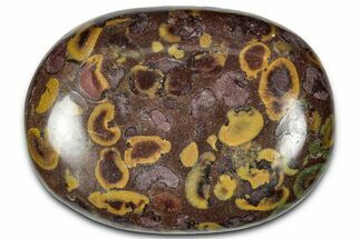 Polished Fruit Jasper Palm Stone - India #343184