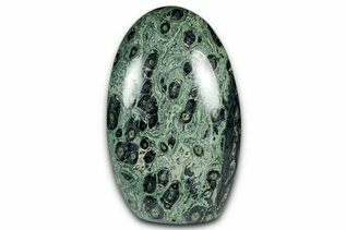 Kambaba Jasper For Sale