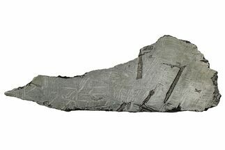Etched Saint-Aubin Iron Meteorite Slice ( g) - France #346546