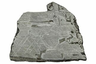 Etched Saint-Aubin Iron Meteorite Slice ( g) - France #346548