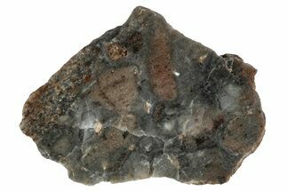 Lunar Meteorite Slice ( g) - NWA #346550