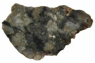 Lunar Meteorite Slice ( g) - NWA #346552