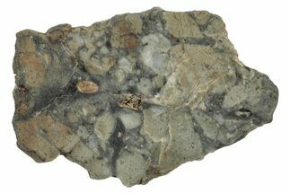 Lunar Meteorite Slice ( g) - NWA #346554