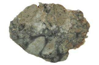 Lunar Meteorite Slice ( g) - NWA #346556