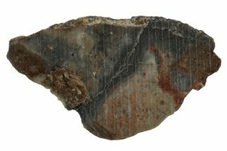 Lunar Meteorite Slice ( g) - NWA #346560