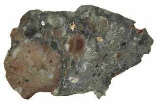 Lunar Meteorite Slice ( g) - NWA #346564