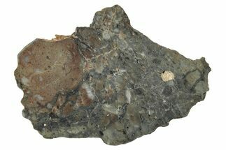 Lunar Meteorite Slice ( g) - NWA #346568