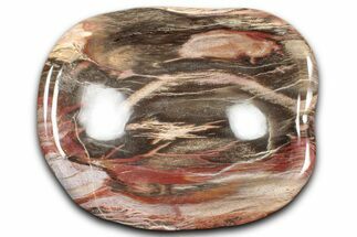 Colorful Polished Petrified Wood Bowl - Madagascar #346822