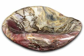 Colorful Polished Petrified Wood Bowl - Madagascar #346825