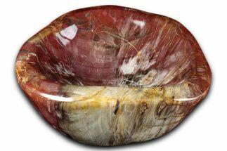Colorful Polished Petrified Wood Bowl - Madagascar #346832