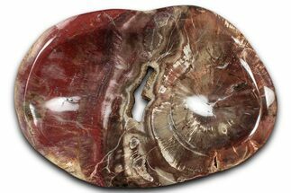Colorful Polished Petrified Wood Bowl - Madagascar #346833