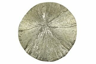 Radiant Pyrite Sun - Sparta, Illinois #342585