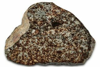 Chondrite Meteorite Section ( g) - NWA #347094