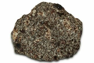 Chondrite Meteorite Section ( g) - NWA #347095