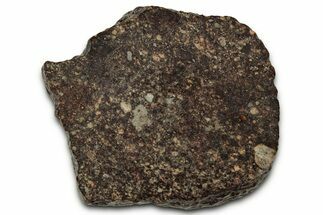 Chondrite Meteorite Section ( g) - NWA #347096