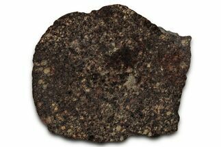 Chondrite Meteorite Section ( g) - NWA #347097
