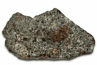 Chondrite Meteorite Section ( g) - NWA #347098