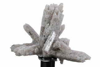 Star Cluster Topaz - Utah #347099