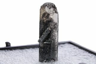 Vitreous Black Topaz Crystal - Utah #347113