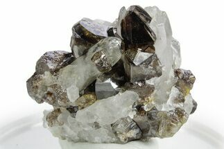 Gemmy Cassiterite Crystals with Quartz - China #347379