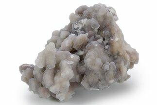 Sparkling Youngite Agate/Jasper Specimen - Wyoming #347571