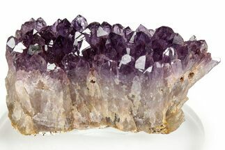 Dark Purple Amethyst Cluster - Alacam Mine, Turkey #347634