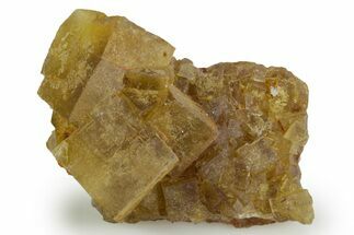 Yellow Cubic Fluorite Crystal Cluster - Morocco #347771