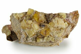 Yellow Cubic Fluorite Crystal Cluster on Matrix - Morocco #347788