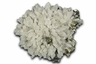 Gleaming Pyrite Clusters with Sphalerite on Quartz - Peru #347620