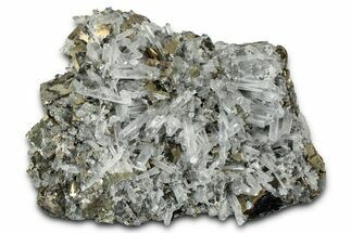 Gleaming Cubic Pyrite Crystals with Clear Quartz - Peru #347646